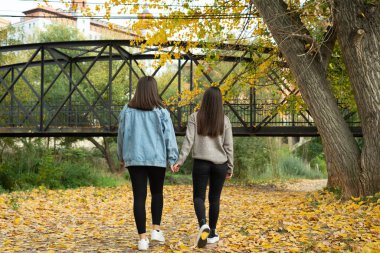 Bir sonbahar günü parkta yürürken el ele tutuşan lezbiyen bir çiftin arka görüntüsü..