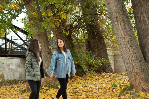 Gülümseyen bir kadın çiftin yan görüntüsü. Birbirlerine bakıyorlar, el ele tutuşuyorlar ve güzel bir sonbahar öğleden sonrasında parkta yürüyorlar..