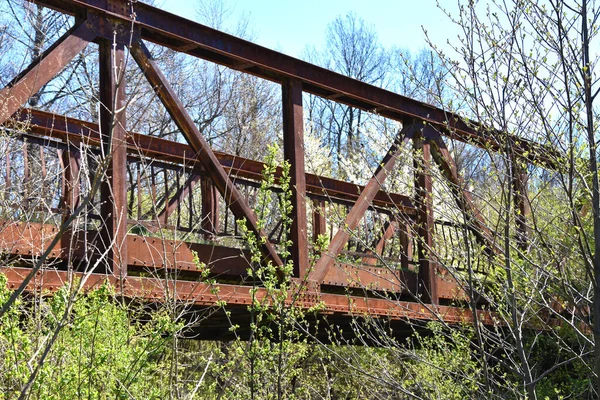 Σκουριασμένη Παλιά Μεταλλική Γέφυρα Κατάφυτη Γύρω Δέντρα — Φωτογραφία Αρχείου