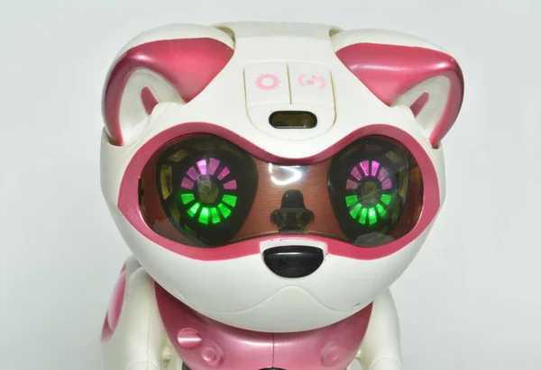 Robot kedi evcil hayvanı. Dokunma ve sese cevap verebilen tamamen otonom bir arkadaş.