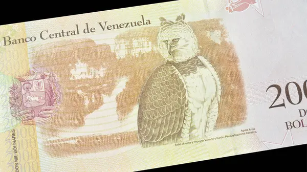 Venezuela 'nın tersi 2000 Bolivar Banknote, Venezuela, Harpy Eagle, Ucaima Falls, Kurun ve Venado Tepuys armalarını gösteriyor.