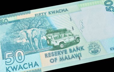 Malavi tarafından basılmış 50 Kwacha banknotunun tersi. Kasungu Milli Parkı 'nda filler, ağaçlar ve safari araçlarını gösteriyor.