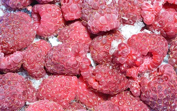 Donmuş ahududu daha sonrası için saklanır.