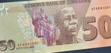 Zimbabwe tarafından basılan 50 dolarlık banknotun tersten basılması, Meçhul Asker 'in Mezarı' nı ve kadın ruhani lider Mbuya Nehanda 'nın heykelini gösteriyor.