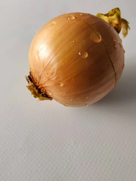 Zwiebeln Isoliert Auf Weißem Hintergrund Eine Zutat Für Borschtsch Nahaufnahme — Stockfoto