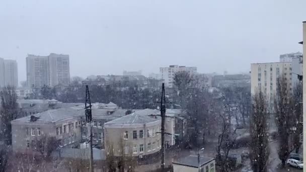 Timelapse Falling Snow City Winter Day Snowflakes — Stock Video