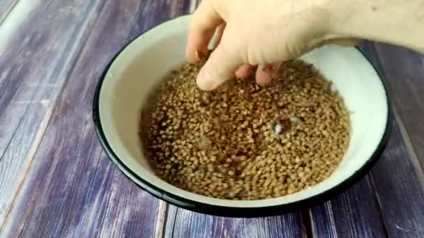 Washing Raw Buckwheat Bowl Water Hand — Stock video