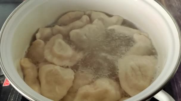 Boiling Dumplings Potatoes Pot Boiling Water Shooting — Wideo stockowe