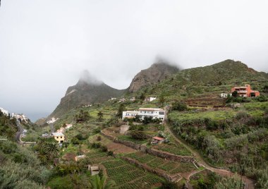 Taganana 'nın sisli dağları Tenerife, Kanarya Adaları