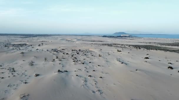 Luftaufnahme Des Naturparks Der Sanddünen Von Corralejo Auf Fuerteventura Kanarische — Stockvideo