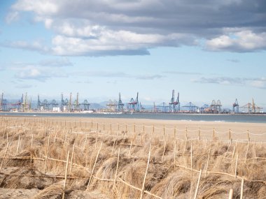 El Saler plajı ve manzarası Valencia stowage vinçleri