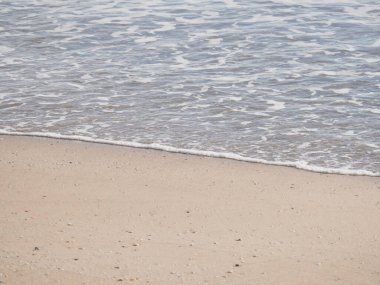 Küçük kabuklu beyaz kumsal kıyısı dalgaları