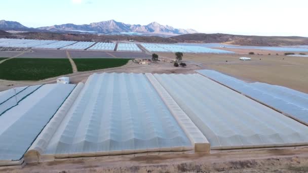 Aerial View Agricultural Greenhouses Spain — Stock Video