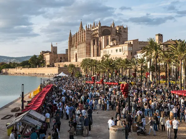 Palma de Mallorca, İspanya; 16 Kasım 2024: Raim Mallorca şarap festivali, Parque del Mar, Palma de Mallorca