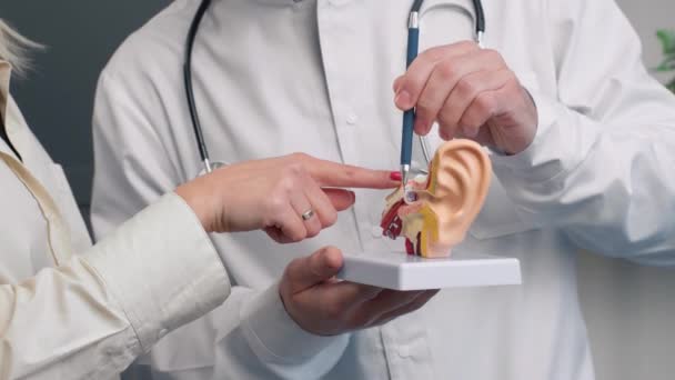 Otolaryngologická Konzultace Ent Lékař Pomocí Krku Anatomický Model Ukazovat Pacientovi — Stock video