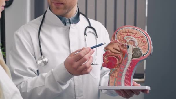 Otolaryngologkonsultation Ent Läkare Använder Hals Anatomisk Modell För Att Peka — Stockvideo