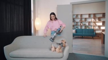 Genç bir kadın köpekle oynuyor ve kanepeyi süpürüyor, sevimli küçük Yorkshire teriyeri yakınlarda oynanıyor.