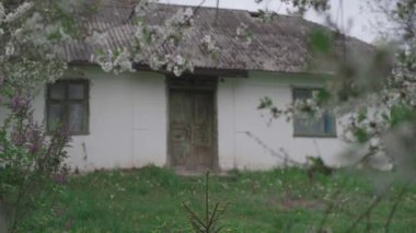 Ormanda terk edilmiş bir ev. Doğa