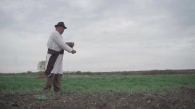 İşlemeli Ukrayna gömleği ve şapkası olan yaşlı bir adam tarlaya tahıl ekiyor. Yavaş çekim
