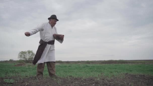Een Oude Man Een Geborduurd Oekraïens Shirt Hoed Zaait Graan — Stockvideo