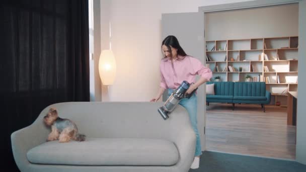 Young Woman Playing Dog Vacuums Couch Cute Little Yorkshire Terrier — Stock Video