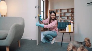 Lastik eldivenli kız kapı tokmağını temizliyor. Ev hanımı otelde kapı yıkıyor. Arka planda Yorkshire Terrier köpeği çalışıyor