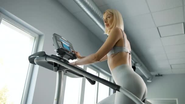 Spor Salonunda Spor Salonunda Kardiyo Antrenmanında Yürüyen Bir Kadın — Stok video