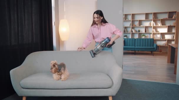 年轻女人和狗狗玩耍 把沙发吸空 可爱的小约克郡狗狗在附近玩耍 — 图库视频影像