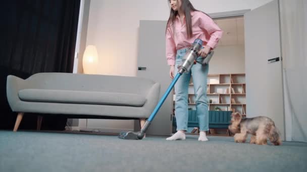 一位身穿舒适的家居服的年轻欧洲姑娘用一个无线真空吸尘器擦拭着一只金黄色约克郡宠物狗的毛毯 — 图库视频影像