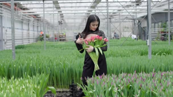 Mujer Sosteniendo Racimo Tulipanes Invernadero — Vídeo de stock