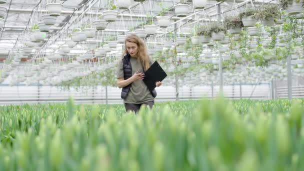 带着笔记本在温室植物中行走的女人 — 图库视频影像