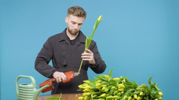 Man Met Groene Plant Snijdt Uiteinden Van Tulpen — Stockvideo