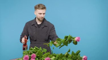Adam mavi arka planda bir gülün uçlarını kesiyor.