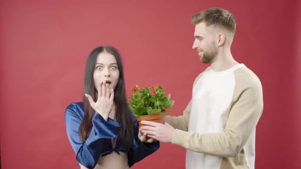 自然のタッチ 男性は 植物を植えた女性を提示します — ストック動画