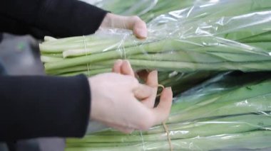 Yerel bir çiçek pazarı ortamında sergilenen canlı lalelerin büyüleyici yavaş çekim görüntüleri