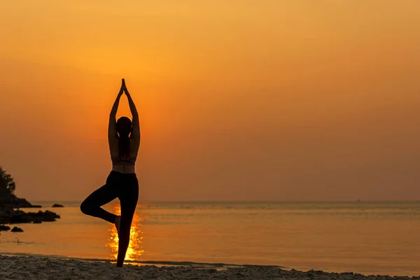 Silhouette Style Vie Femme Yoga Exercice Ver Levez Bras Avant — Photo