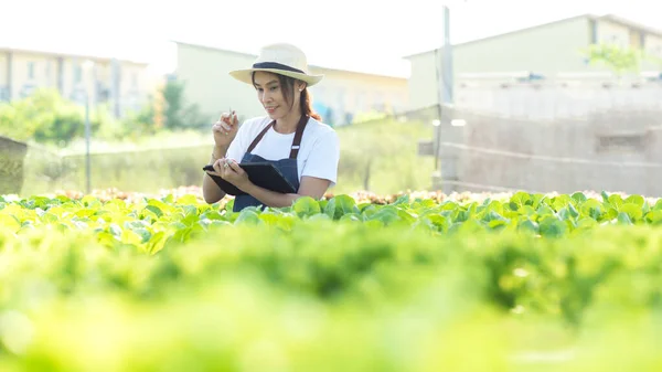 Asian Female Gardener Agriculture Industry Women Farmer Use Laptop Working — Stok Foto