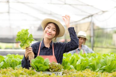 Owner farmer working and care vegetable or nurse growth plants Hydroponic organic in greenhouse.  Asian family women gardener in agriculture industry. Hydroponic agricultural system.  Business small concept