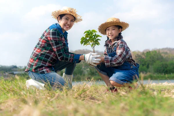 Asiatische Familie Mutter Und Kind Tochter Pflanzen Bäumchen Freien Der — Stockfoto