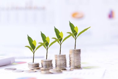 Yatırım için para sikke yığını üzerinde büyüyen ağaç, yatırımcı gayrimenkul iş masası üzerinde mali rapor ile iş gazetesi, şehir arka plan. Yatırım gayrimenkul büyüme Kavramı