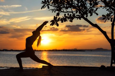 Siluet yaşam tarzı kadın yogası ve solucanlar sağlıklı yaşam için poz vermeden önce kollarınızı kaldırın. Genç kız ya da insanlar dengeli vücut pozu veriyor. Zen ve meditasyon egzersizi ve spor, açık havada gün batımı.