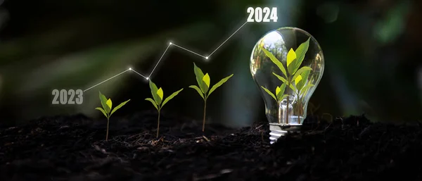 Saving and growth energy and environment. Tree growth compared to year 2023 to 2024 in light bulb for saving Ecology energy nature