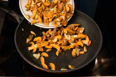 Evde yemek pişirme, sarımsaklı sotelenmiş rebollonlar (Lactarius deliciosus)