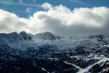 Vadide ormanı olan karlı dağların manzarası