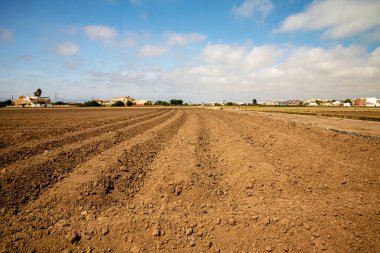 Kırmızı ve verimli tarlalar ekilmeyi bekliyor.