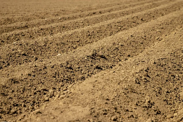 stock image ridges of recently plowed red earth, sustainable agriculture