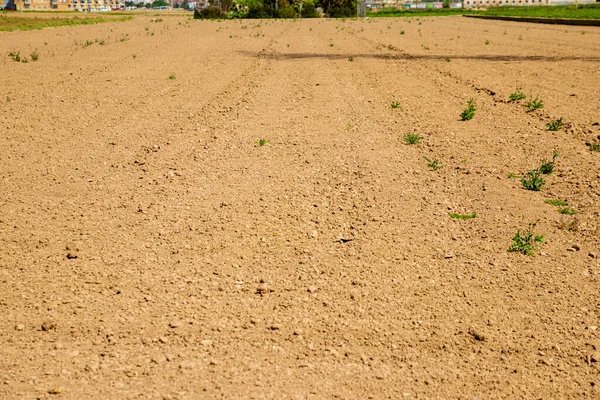 plowed field without cultivation, dry and arid land