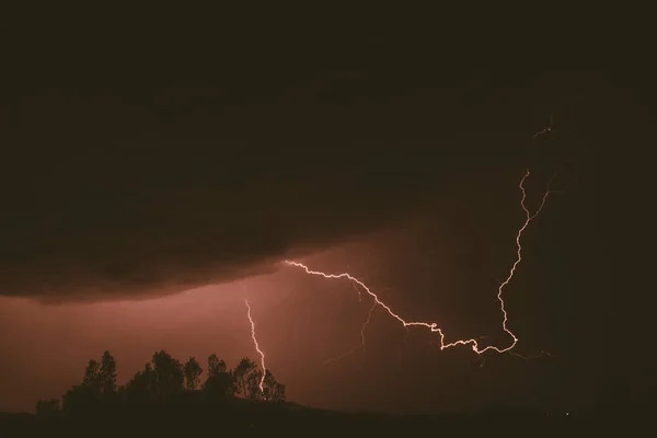 Tempeste Estive Tuoni Fulmini Sugli Alberi — Foto Stock