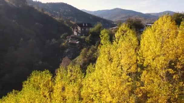 Kavak Ağaçlarının Sarı Yaprakları Ahşap Köy Evi — Stok video