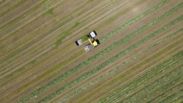 Yeşil Tarlalarda Tarım Alanlarında Çalışan Makine Kombinasyon Kamyonların Görüntüleri — Stok video